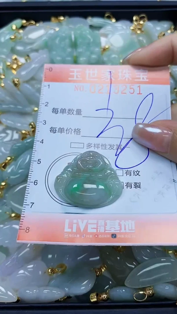 【闪购商品】翡翠未镶嵌颈饰闪购0213251