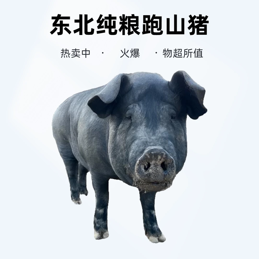 东北纯粮跑山猪 精排骨（5斤）