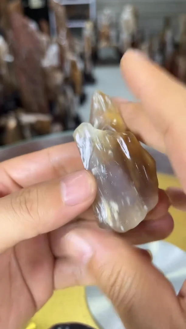 硅化玉珠宝奇石未镶嵌缅甸天然树化玉