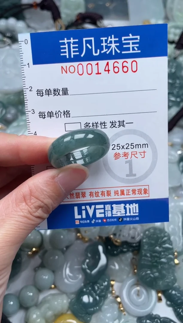 颈饰未镶嵌翡翠14660
