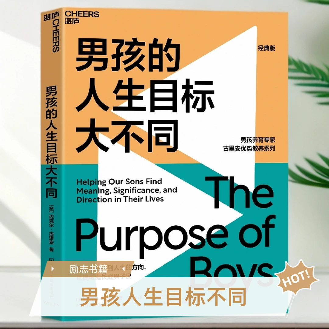男孩的人生目标大不同  帮孩子找到人生方向，让捣蛋鬼长成男子汉！