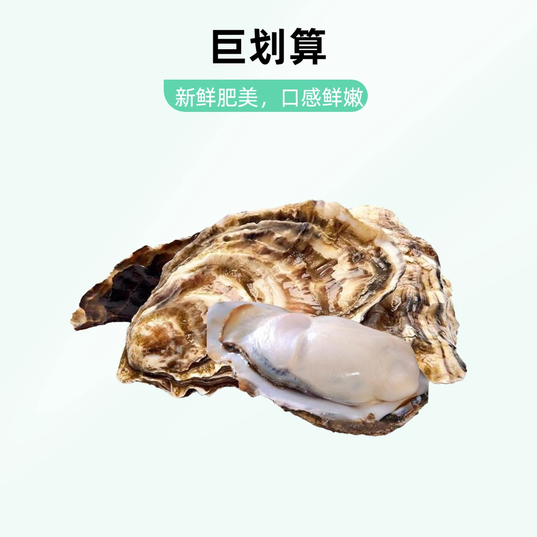 生蚝 3个 /份海之道海鲜吃海鲜（500G）