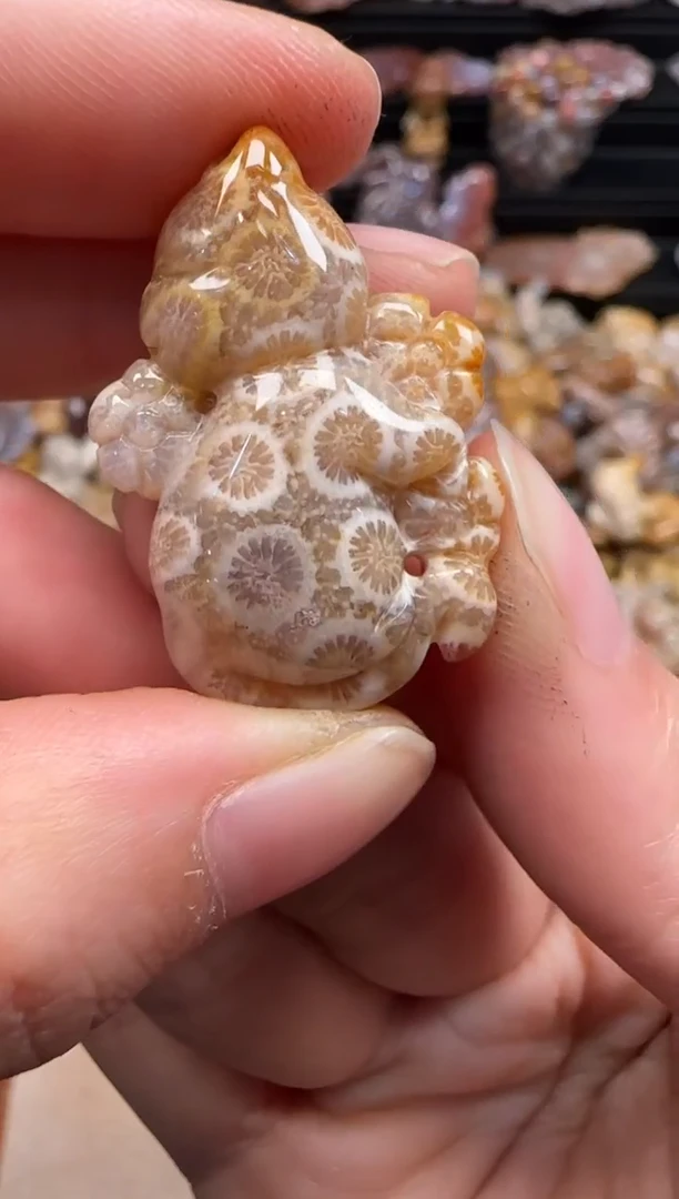 【闪购商品】硅化珊瑚（珊瑚玉）颈饰未镶嵌394