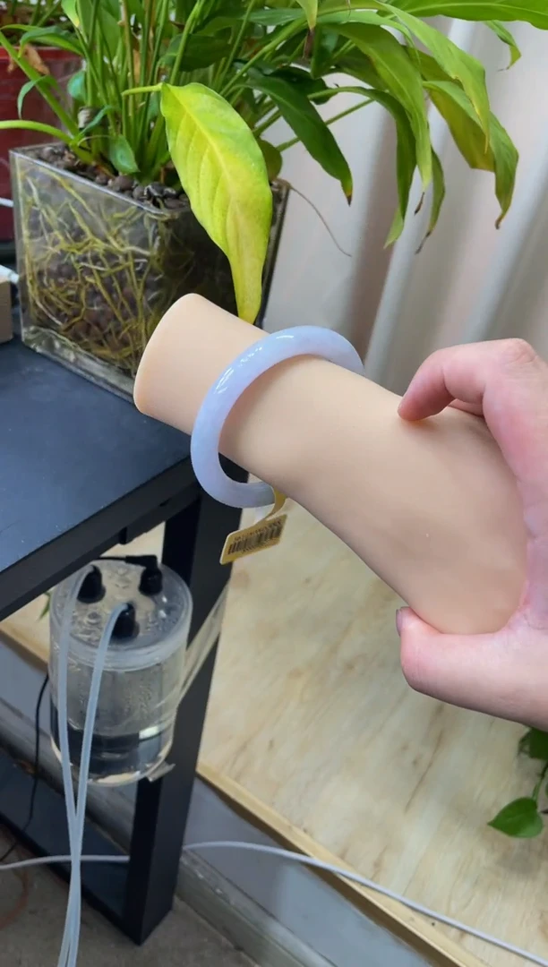 未镶嵌手镯翡翠018-56