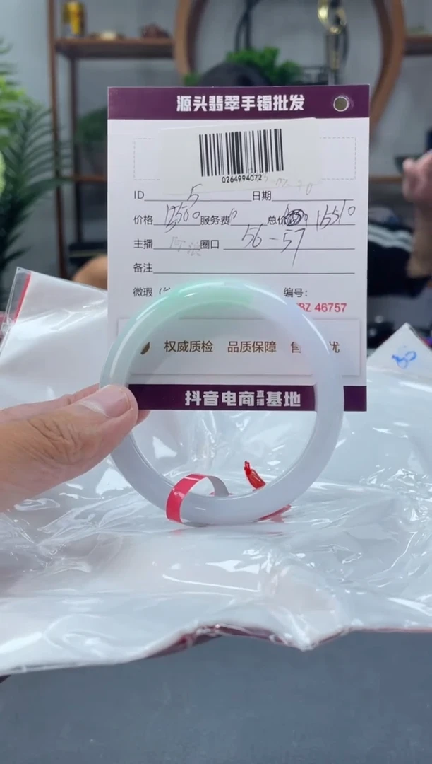 翡翠手镯未镶嵌5手镯