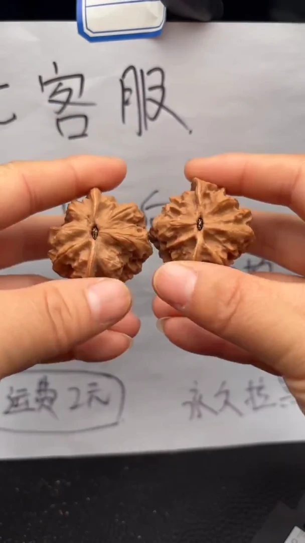 把件文玩核桃382白蛇骨