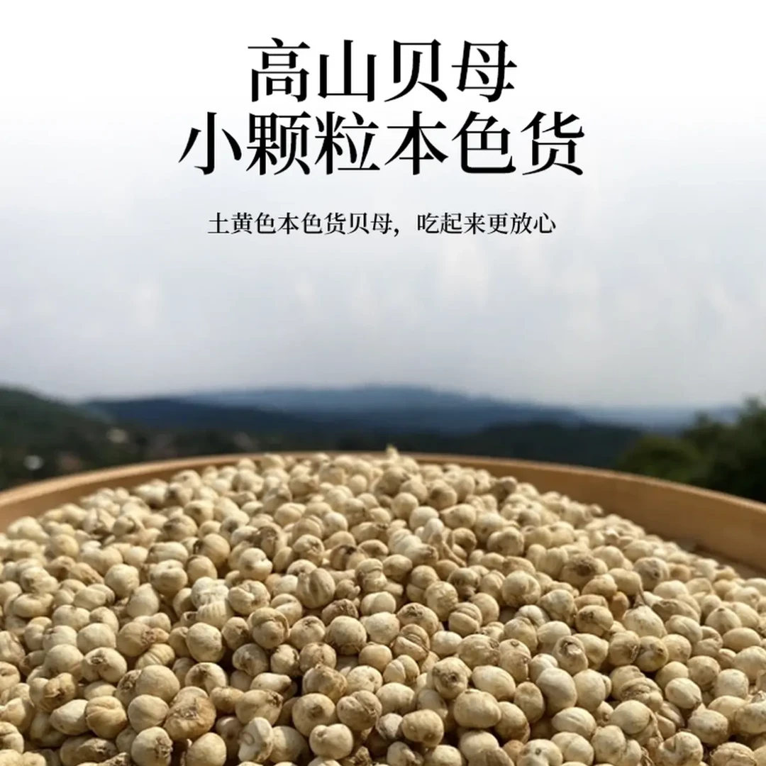 四川阿坝高山贝母本色小粒无熏硫