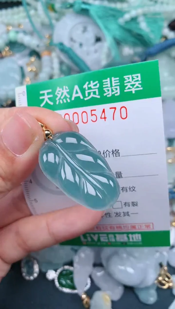 翡翠未镶嵌颈饰.0005470