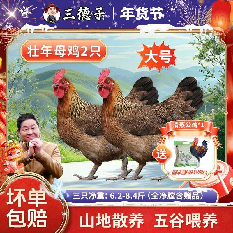 三德子【2只装母鸡】散养母鸡营养价值高煲汤炖汤满屋飘香送1只公鸡
