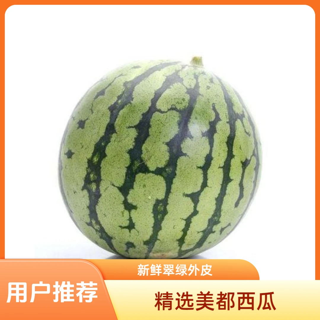 海南美都麒麟西瓜6斤~7斤（单拍不送）海南省