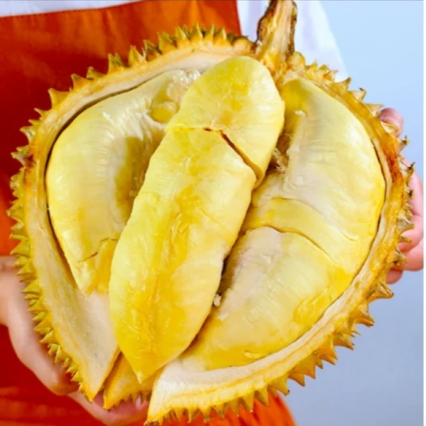 05泰国进口金枕榴莲带壳核小皮薄肉厚鲜榴莲 生切无售后