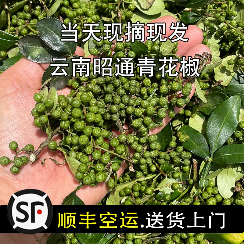 云南本地采摘新鲜散装青花椒顺丰空运苏超最新积分榜