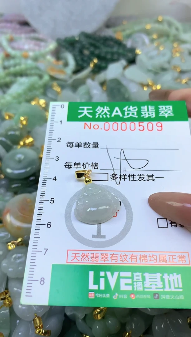 颈饰未镶嵌翡翠未镶嵌纯天然A货翡翠