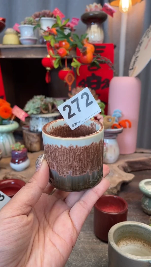 【闪购商品】摆件福利272知木小芳花盆