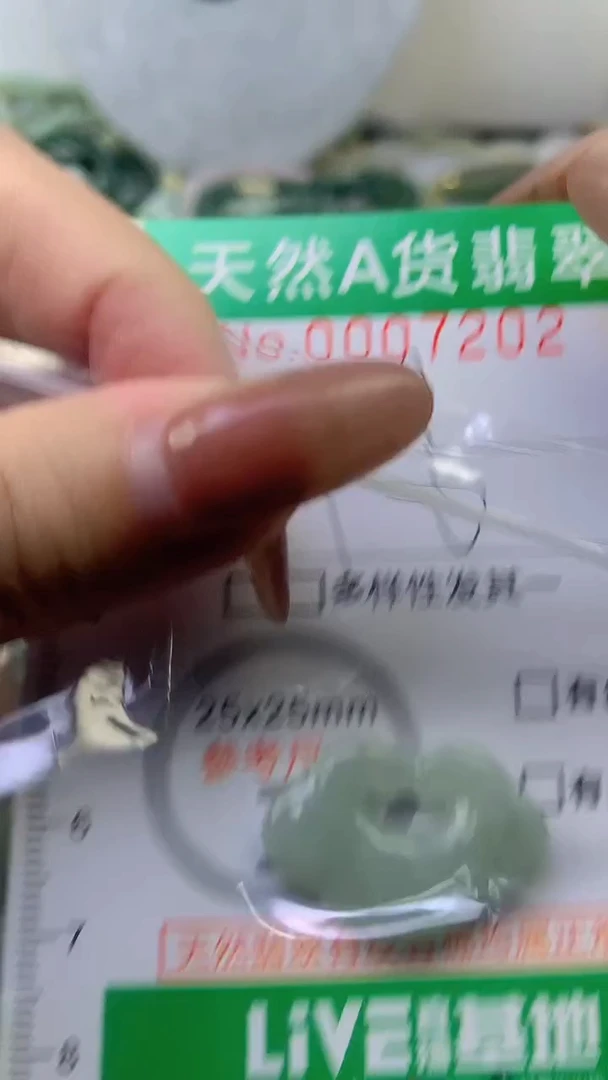 颈饰未镶嵌翡翠未镶嵌纯天然A货翡翠