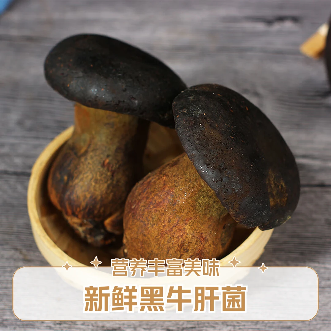 新鲜牛肝菌非野生云南特产菌子食用菌菇煲汤火锅食材美味黑牛肝