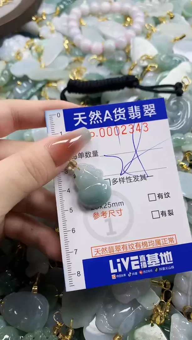 颈饰未镶嵌翡翠天然A货翡翠