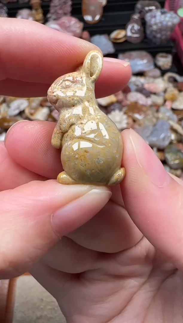 颈饰未镶嵌硅化珊瑚（珊瑚玉）322