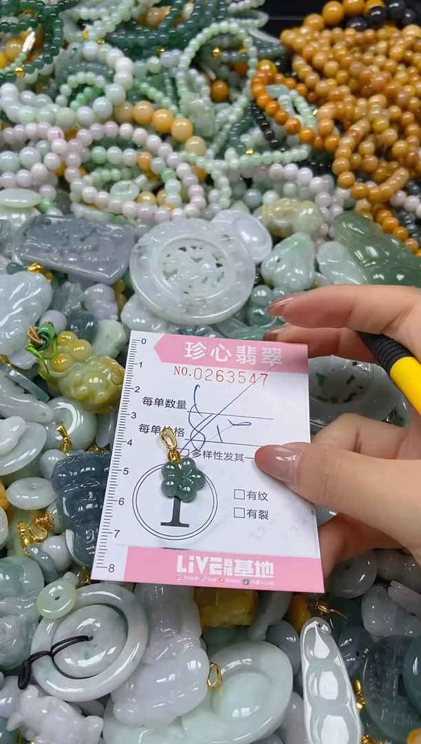 翡翠未镶嵌颈饰闪购0263547多样性发其一