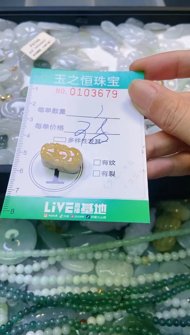 翡翠未镶嵌颈饰闪购0103679