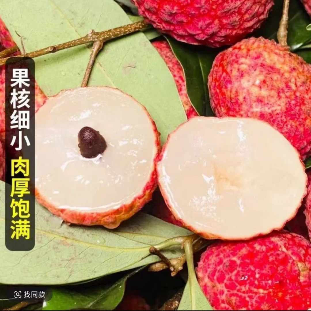 新鲜【糯米糍荔枝】整箱6斤 荔枝净重4.5斤 肉厚核小