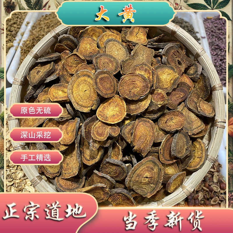 大黄深山采挖正品四川川大黄片川马蹄大黄生大黄粉川军马蹄黄