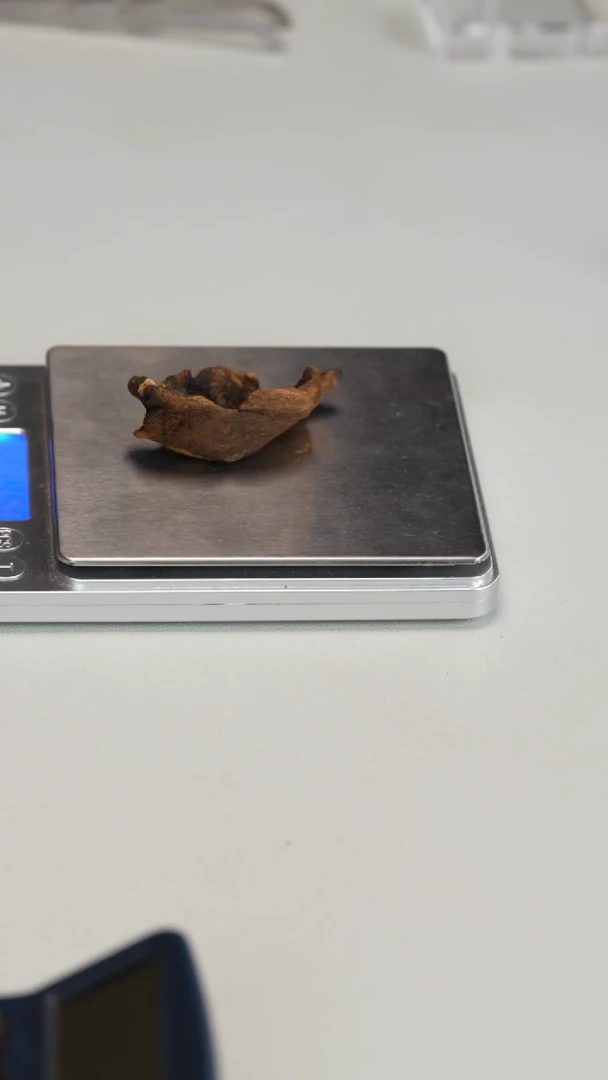富森红土碎料9.5g