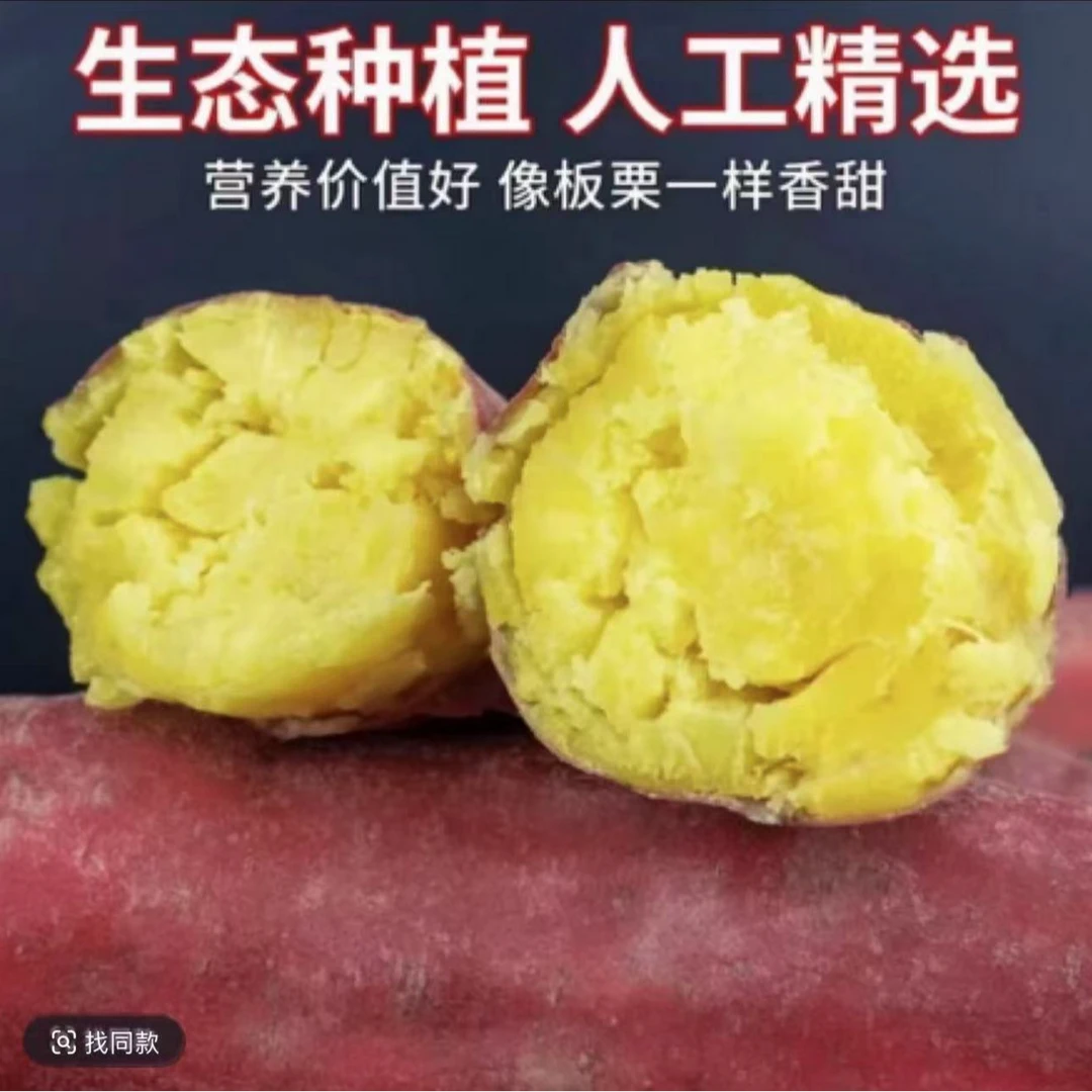 陕西正宗板栗红薯粉糯香甜饱满皮薄现挖 带箱5斤