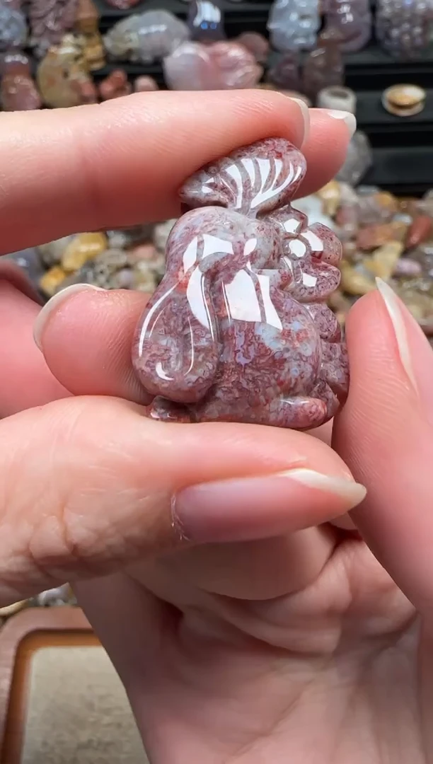 颈饰未镶嵌硅化珊瑚（珊瑚玉）817