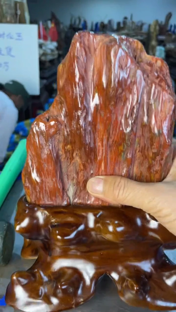 未镶嵌摆件硅化玉14
