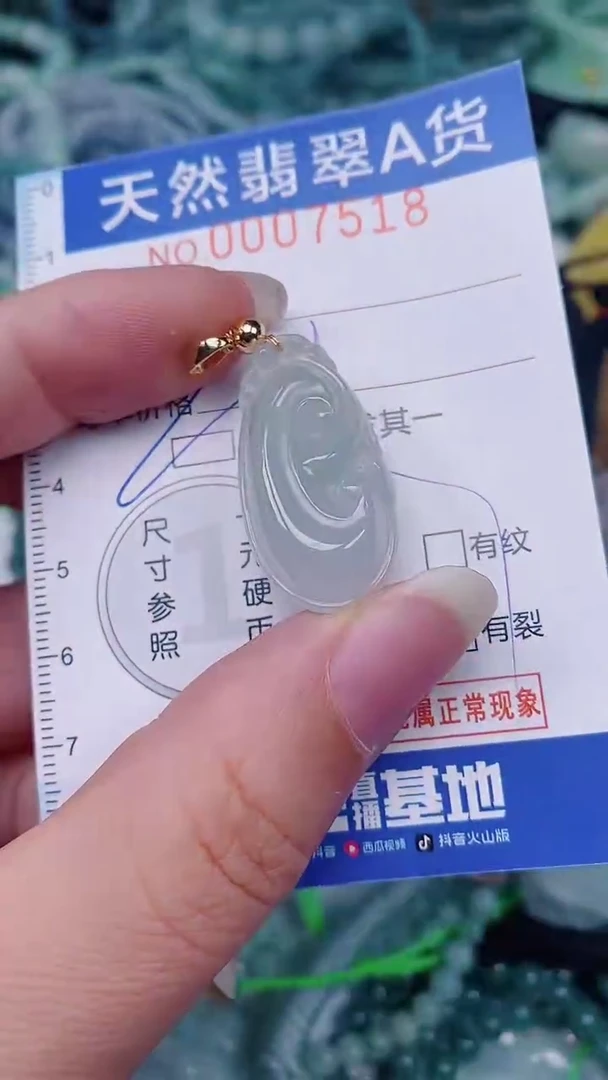 翡翠未镶嵌颈饰00007518