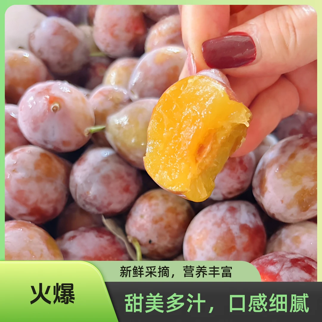 新疆空运直发喀什法兰西西梅新鲜应季水果孕妇香甜多汁