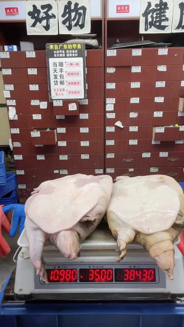 中国大陆开**好两只5斤合计11斤