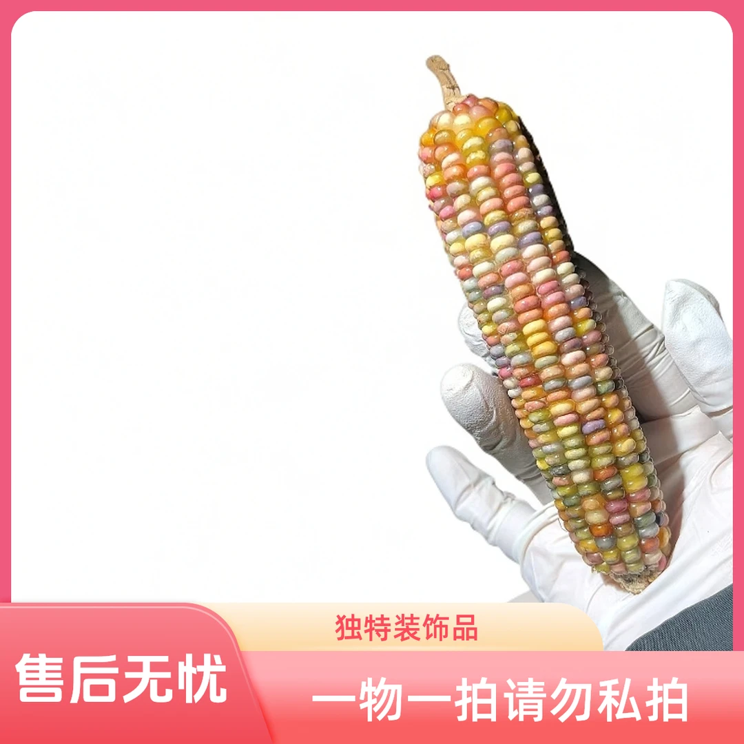 七彩宝石文玩玉米毛料手把件，天然挂件可盘玩直播间一物一拍