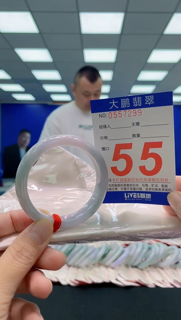 未镶嵌手镯翡翠AAAAAAAAA