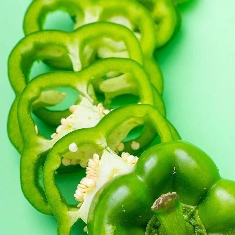 柿子圆椒甜椒绿方椒上海有机种植标准出口新加坡