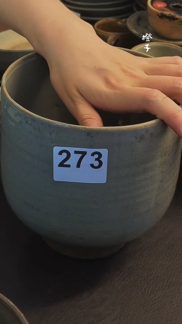 .**.漂漂亮亮的瓷器编号273