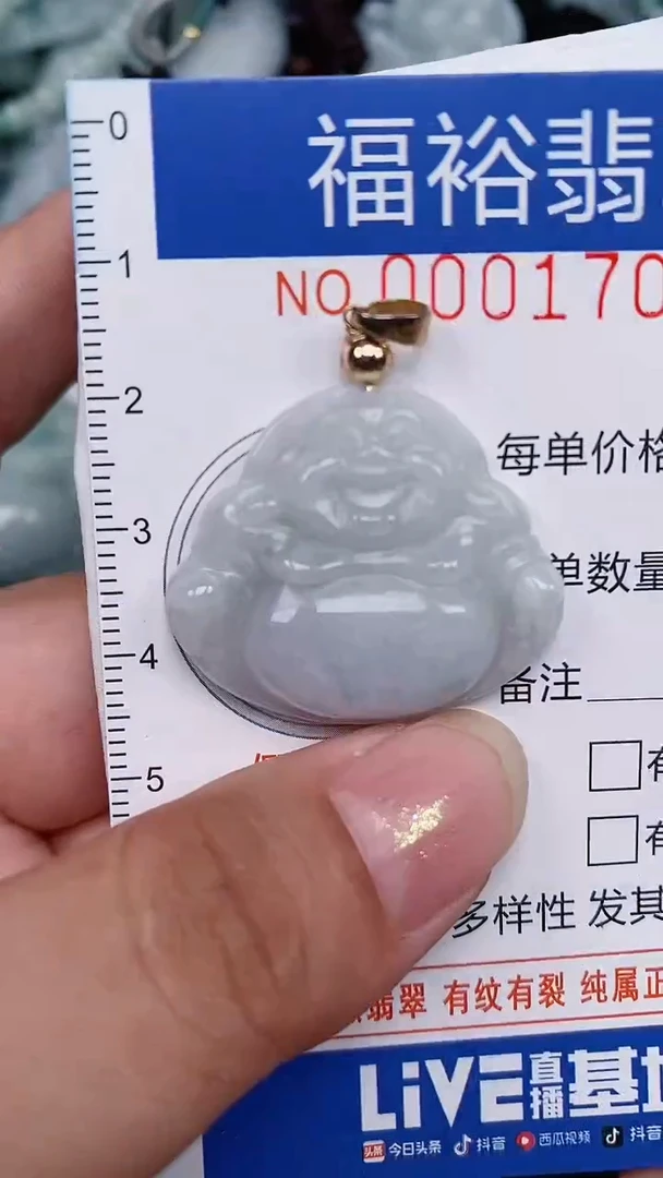 翡翠未镶嵌颈饰...0001706
