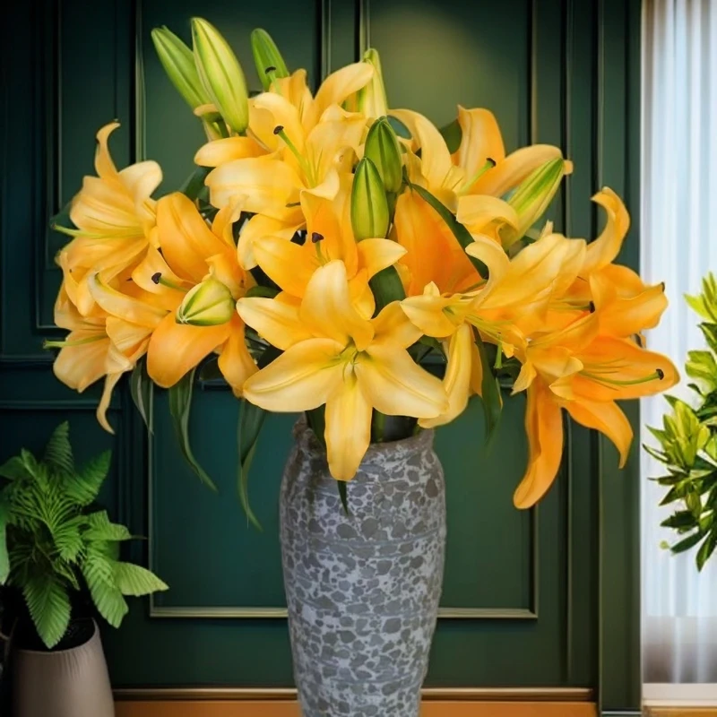 云南木木花卉 金砖 金黄色香水百合花 淡香型大花苞水养瓶插