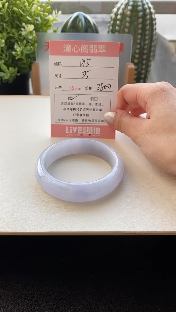 未镶嵌手镯翡翠55圈口编码D15