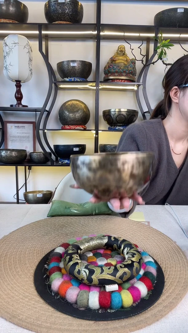 满月16.5A 包含全套配件