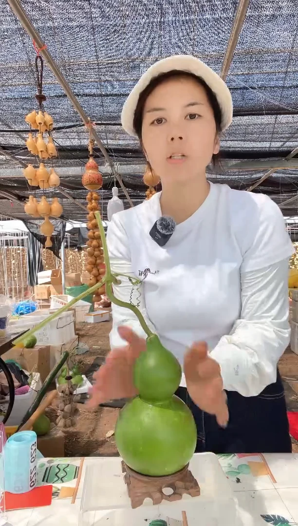 622天然葫芦摆件 一物一拍龙头不保售后