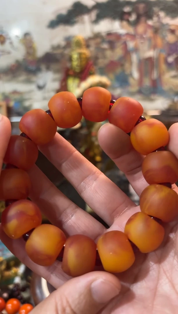 香榧木------------------