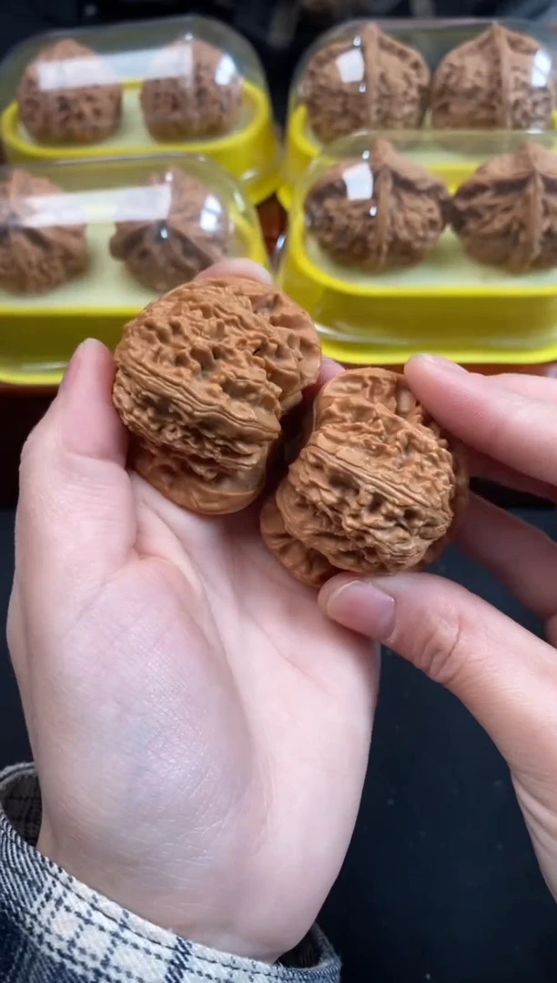 核桃白狮子44尺Q805