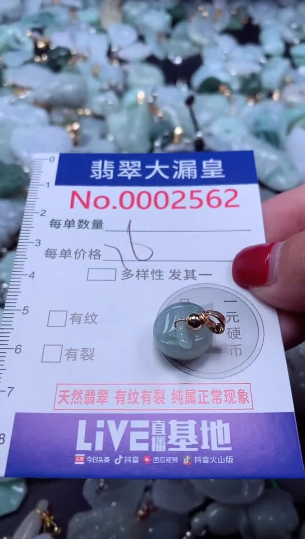 颈饰未镶嵌翡翠2562