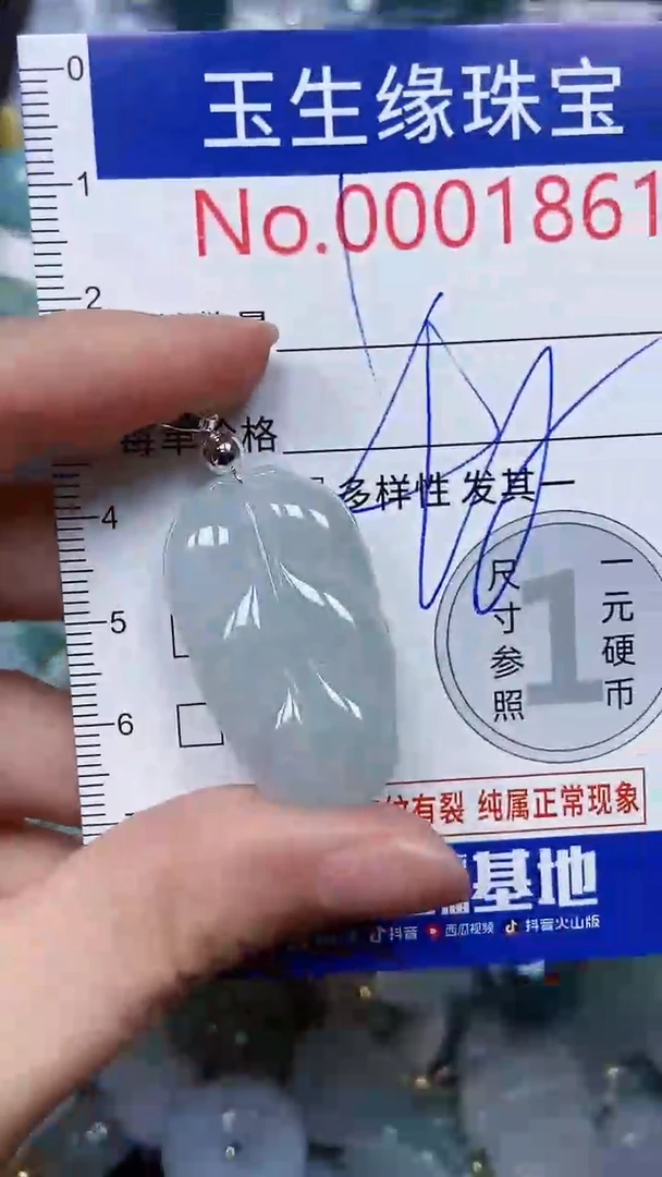 【闪购商品】翡翠颈饰未镶嵌闪购00001861