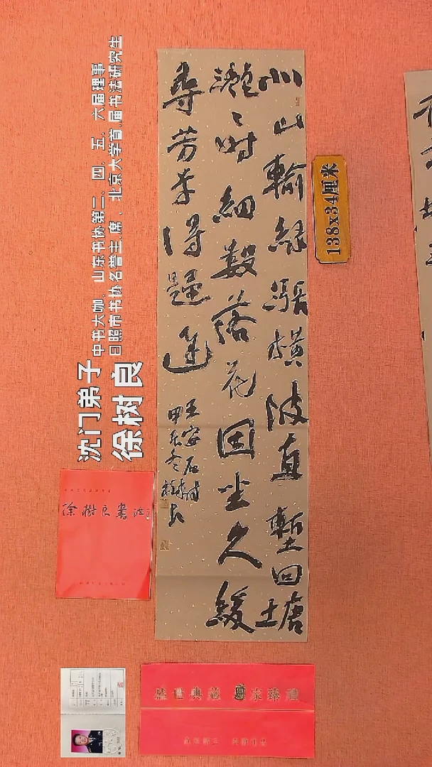 【闪购商品】书法71    徐树良书法作品