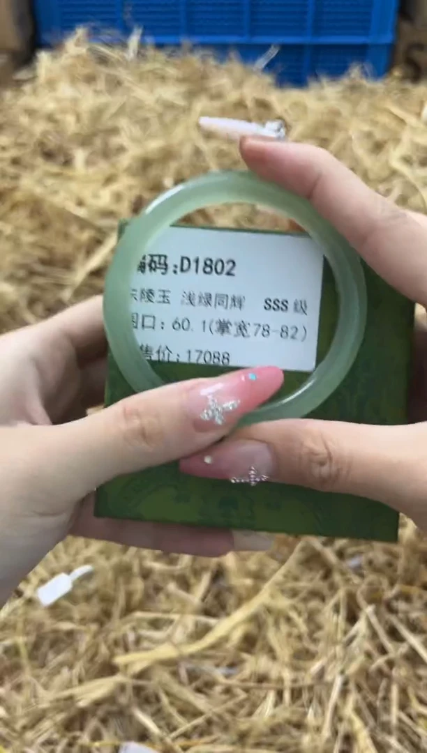 未镶嵌手镯石英质玉D1802
