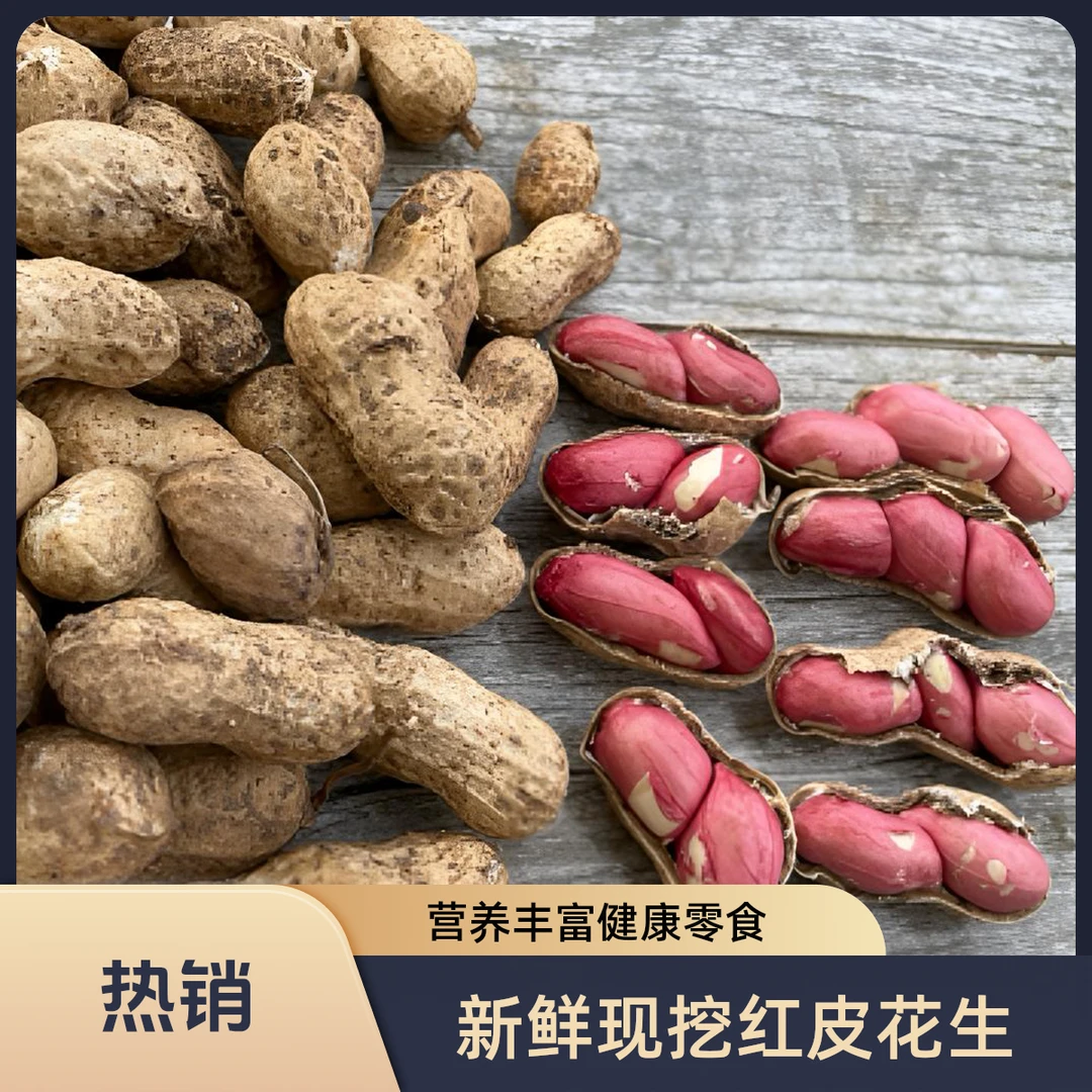 【水果花生】新鲜现挖带壳湿现摘生鲜花生生吃农家自种口感鲜花生