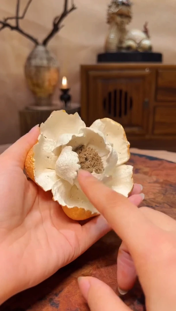 瓷片设计师款手工手作